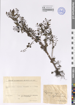 LE 01208582