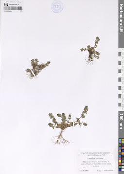 LE 01209405