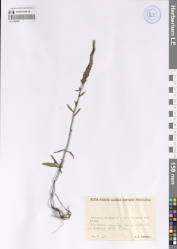 LE 01228206
