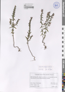 LE 01242459