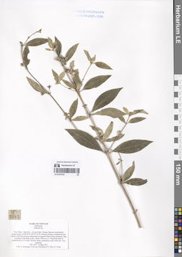 LE 01276125