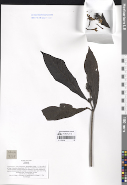 LE 01276126