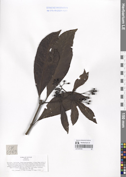 LE 01276136