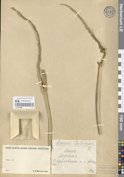 LE 01249669