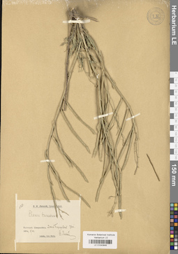 LE 01043846