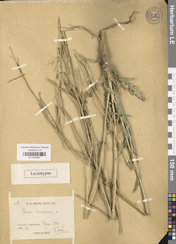 LE 01043847