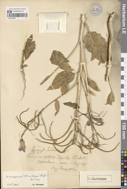 LE 01079202