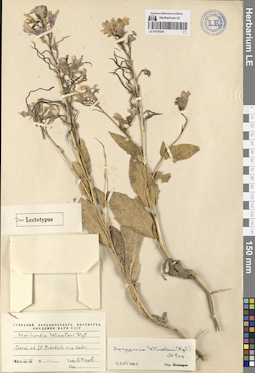 LE 01079204