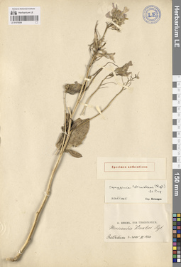 LE 01079208