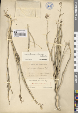 LE 01079209