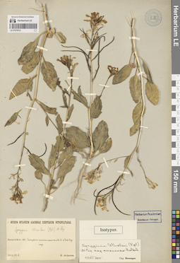 LE 01079212
