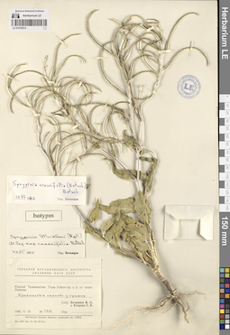 LE 01079214