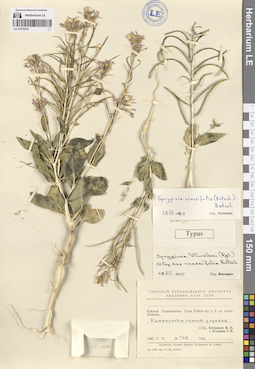 LE 01079216