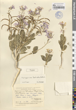 LE 01079218