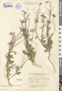 LE 01079220
