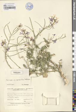 LE 01079222