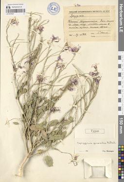 LE 01079223