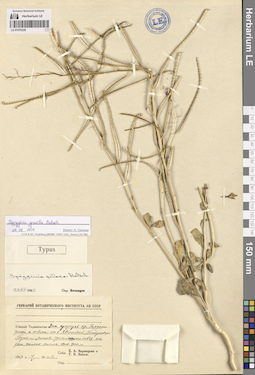 LE 01079228