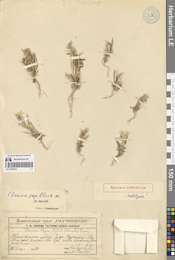 LE 01280139