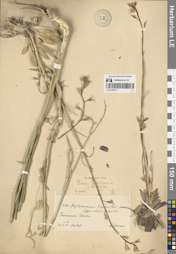 LE 01280171