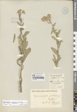LE 01280187