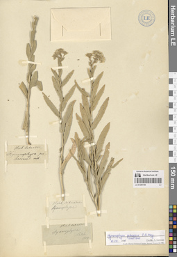 LE 01280188