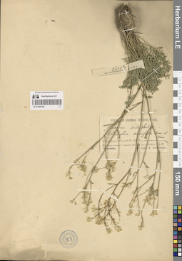 LE 01280190