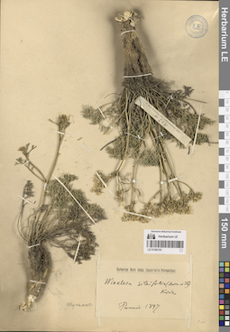 LE 01280193