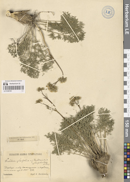 LE 01280195