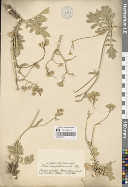LE 01280197