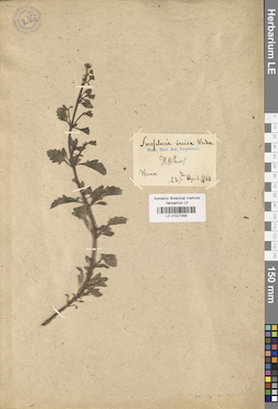 LE 01027358