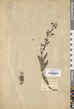 LE 01027359