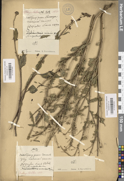 LE 01027420