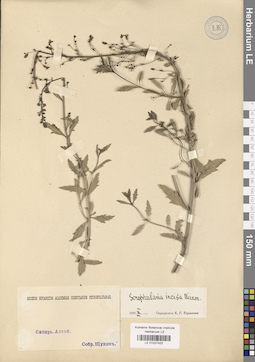 LE 01027422