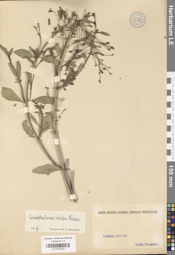 LE 01027423