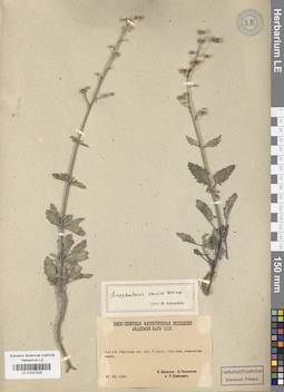 LE 01027425