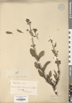 LE 01027434