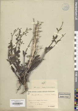 LE 01027444
