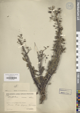 LE 01027446