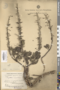 LE 01027457