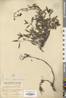 LE 01027463