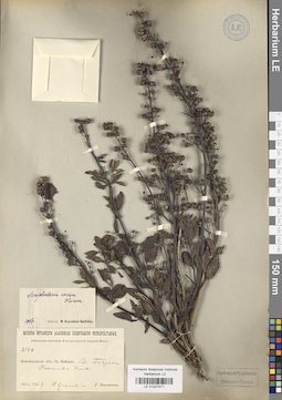 LE 01027471