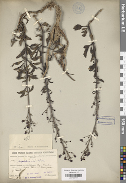 LE 01027477