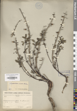 LE 01027483