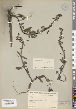 LE 01027491