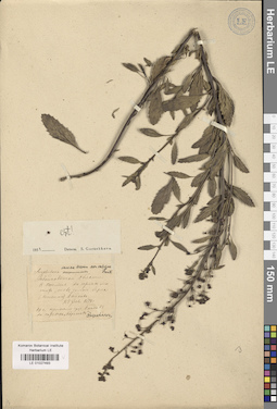 LE 01027493