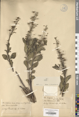LE 01027497