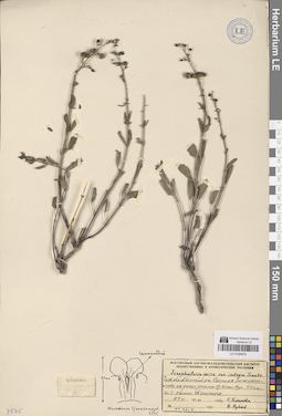 LE 01050679