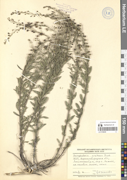 LE 01196345