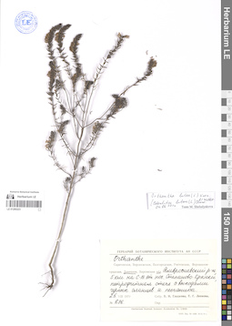 LE 01280223